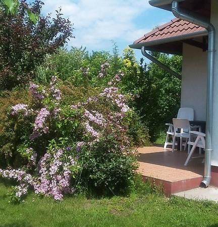 Cserkei Nyaralo Cserkeszőlő Exteriör bild